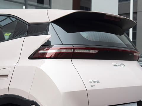 2025�� 305km ������