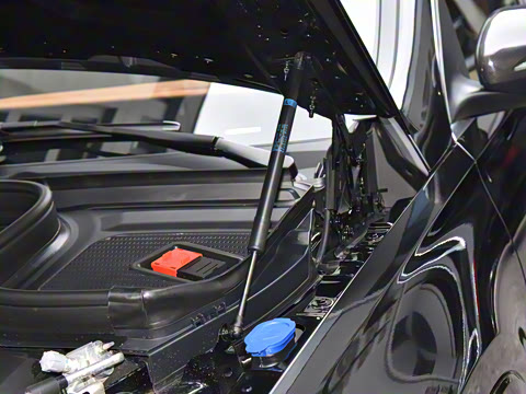 2024�� ������