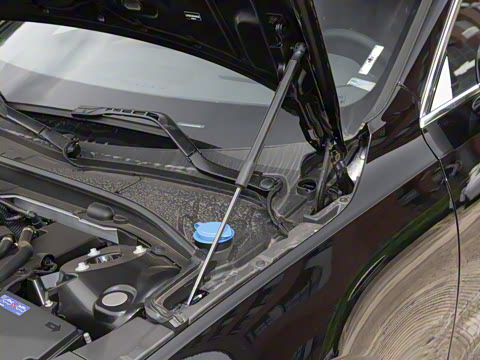 2025�� B5 ���ݺ�����