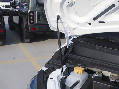 2025�� 320km ������ 9��