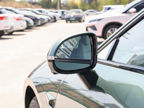 2025�� ���� Plus ��������