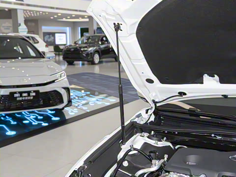 2024�� ˫�� 2.5HXS �˶�Plus��