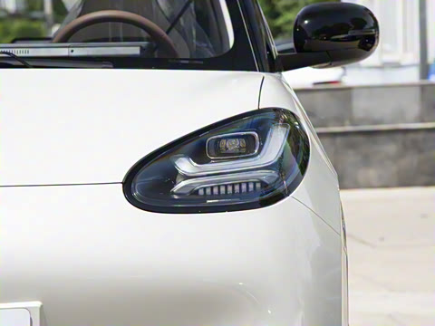 2025�� 333km ������