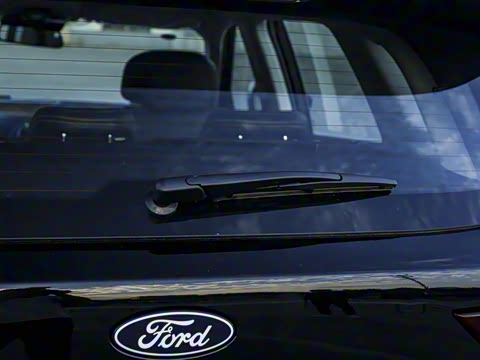 2025�� ������