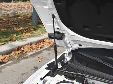 2025�� 1.5T 300 DCT������