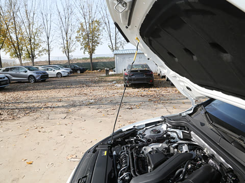 2025�� 300TSI Pro