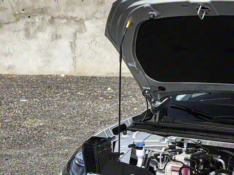 2025�� 520������