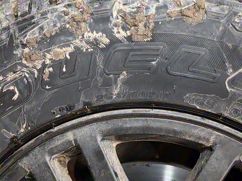 2025�� ��׼��