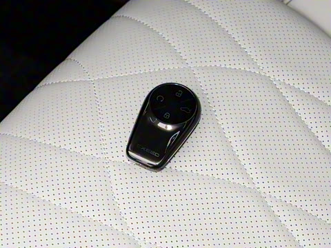 2025�� 200��������Max����