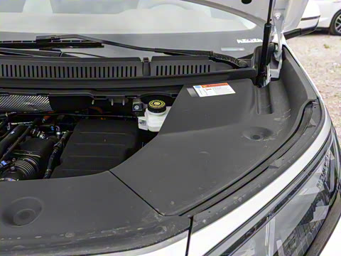 2025�� DM-i 1.5T 100km �캽��