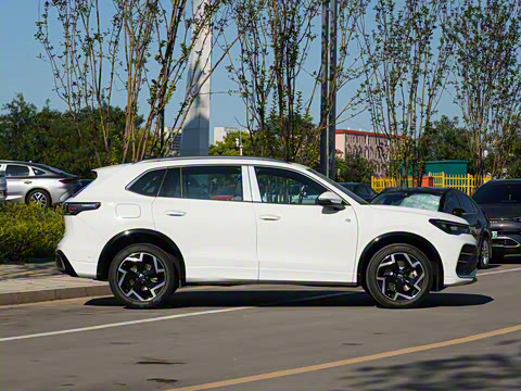 2024�� PRO 330TSI ����R-Line�����