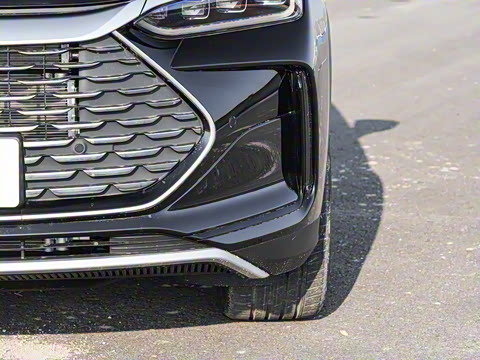 2025�� DM-i 115KM �����