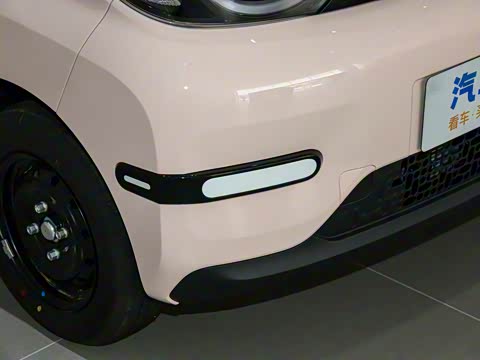 2025�� 205km ʥ����