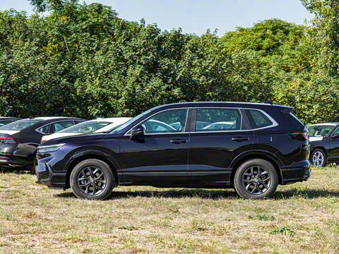 2025�� 240TURBO ������Ӣ�� 5��