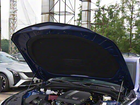 2025�� 28T �����˶���