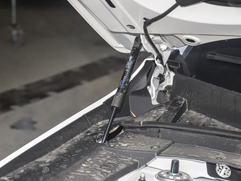 2025�� ������ 5��