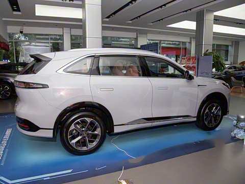 2025�� ���Ĵ� 1.5T ������ �ǻ�������