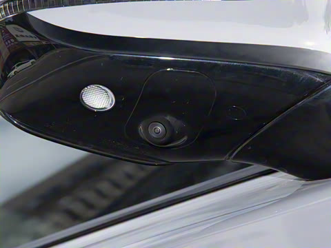 2025�� DM-i 115KM ������