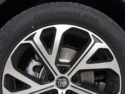 2025�� DM-i 115KM ������