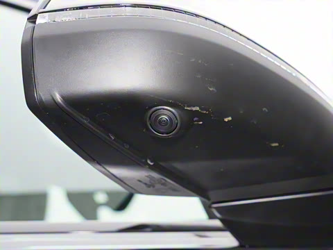 2025�� 55 TFSI quattro S line��ѩ�˶���