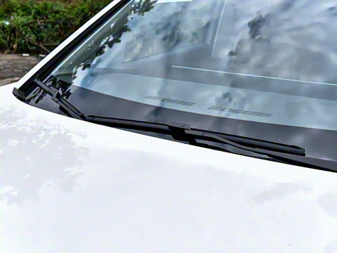 2025�� 527km ɭ�ֳ�������