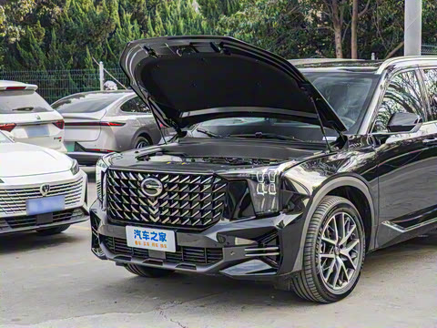 2025�� �캽ϵ�� 2.0TGDI ���������� 5��