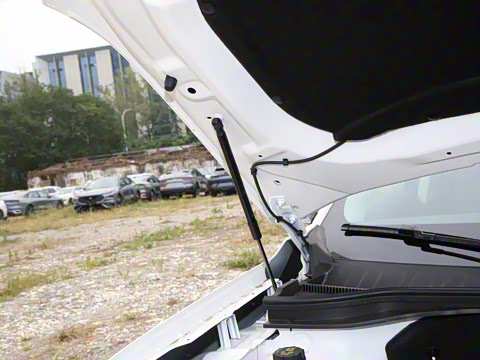 2025�� EcoBoost 170 ������