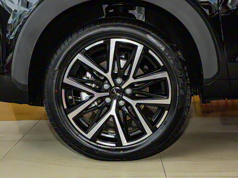 2024�� 1.5TGDI DCT�ǼҰ� 5��