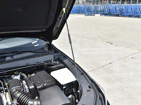 2024�� 1.5T �����