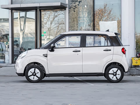 2025�� 205km ��Ȱ�