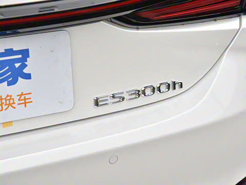 2025�� 300h ������