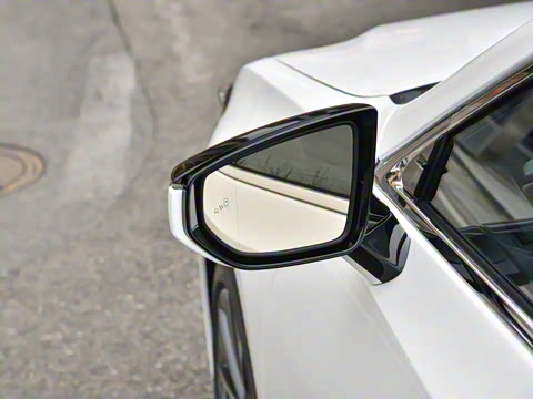 2025�� 300h ������