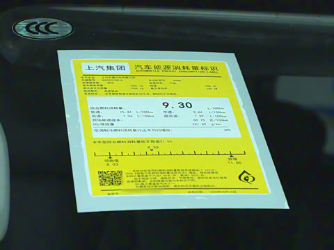 2025�� MAX 2.0T �Զ������� ���� 7��