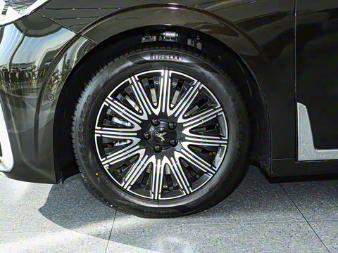 2025�� EV �����콢������