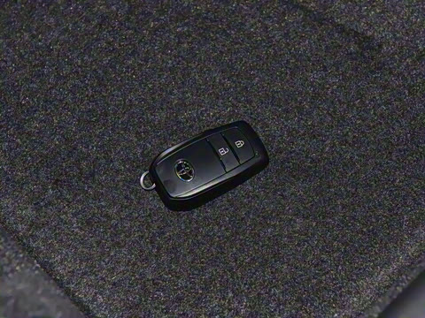 2024�� 2.0L ���ܵ��˫�� ��Ӣ��