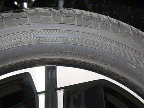 2025�� EM-P 126������Max