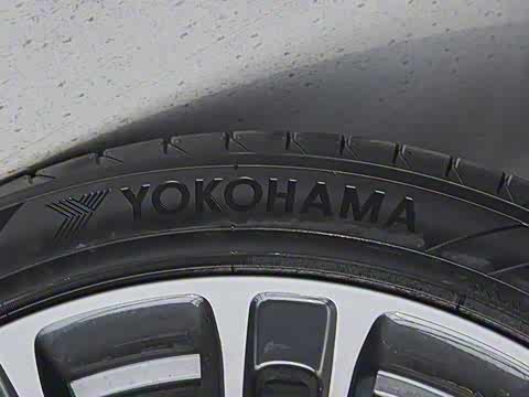 2024�� ���� Max ����������