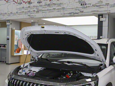 2025�� 1.6TD DCT��Ӣ�� 7��