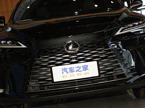 2025�� 350h ����������