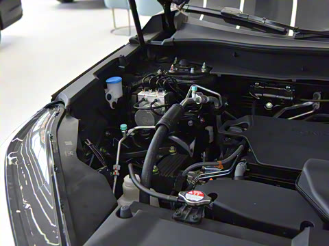 2025�� 240TURBO �������� 5��