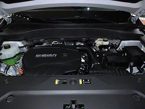 2025�� �캽ϵ�� 2.0TGDI ���������� 5��