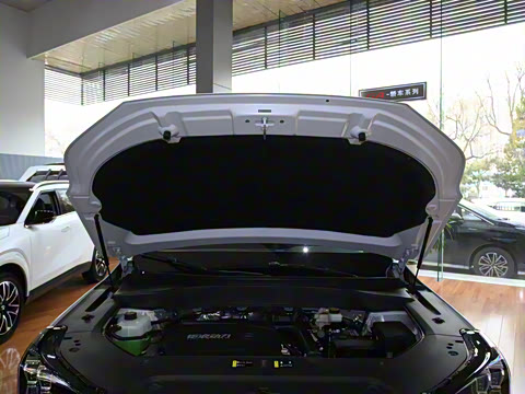 2025�� �캽ϵ�� 2.0TGDI ���������� 5��