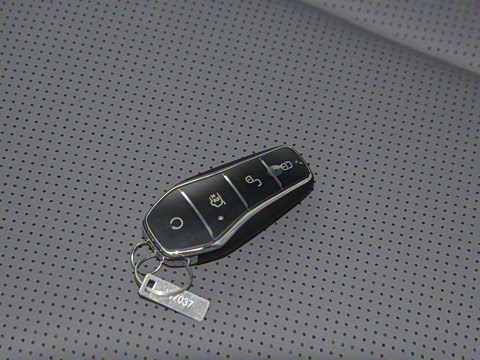 2025�� DM-i 1.5L 70km ��Ӣ��