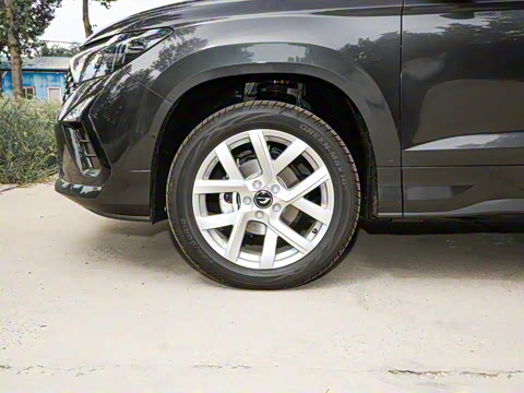 2024�� 280TSI �Զ��ȷ��