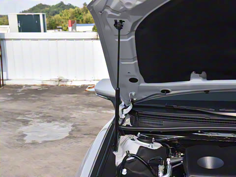 2024�� ˫�� 2.0HS �˶���