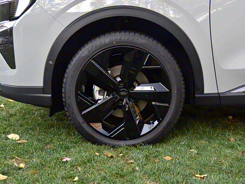 2025�� ������PLUS