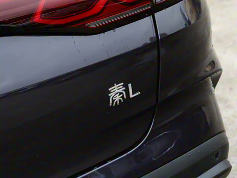 2024�� DM-i 120KM��Խ��