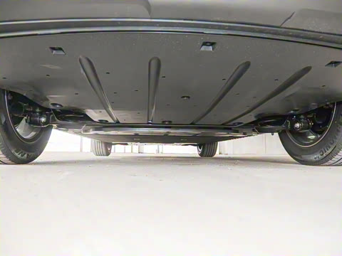 2025�� 445km ���ð�