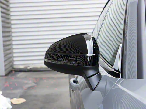 2024�� RS 5 2.9T Sportback ȼ���