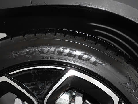 2024�� �Ͷ���������